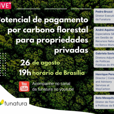 BVRio participates in webinar on the potential for forest carbon payments for private properties