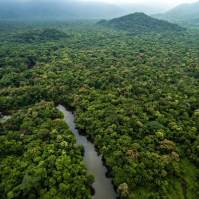 Segundo projeto de madeira legal e sustentável concluído