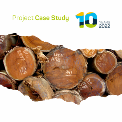 Development of the Brazilian timber Due Diligence tool for timber importers