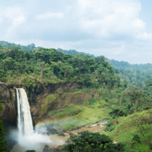 Working with small operators to strengthen timber legality in Cameroon