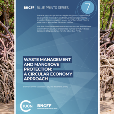 BVRio featured in IUCN nature-based solutions Blue Print series