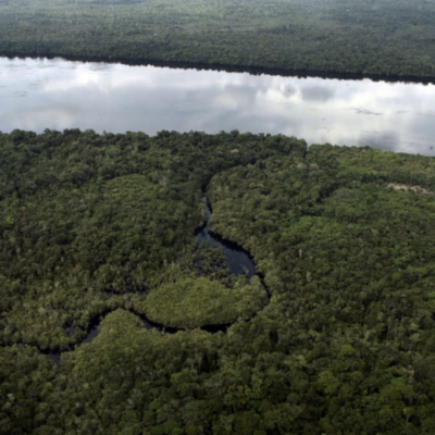Assinatura de acordo florestal é uma vitória no combate às mudanças climáticas