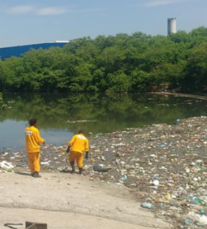 Conheça mais a Coopama e sua história de sucesso através do Hub de Ação Circular