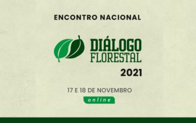 Diálogo Florestal divulga relatório sobre Encontro Nacional 2021